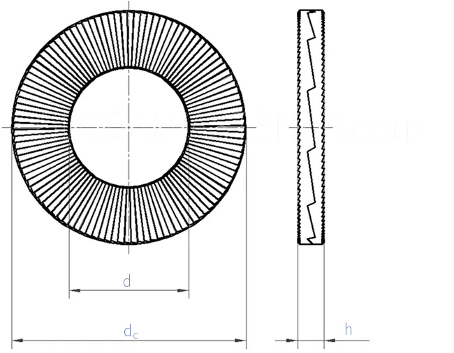 Stainless Steel Din 25201 Double Stack Lock Washer